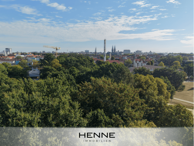Parkblick